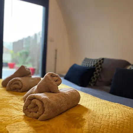 Magnifique Loft 130m2 Апартаменты Ле-Ман