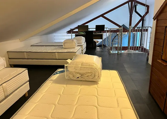 Magnifique Loft 130m2 Le Mans